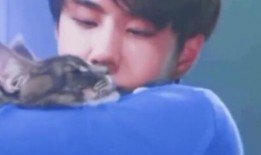 博肖最早爆料的是谁啊视频,是谁率先曝光了这一重大新闻？